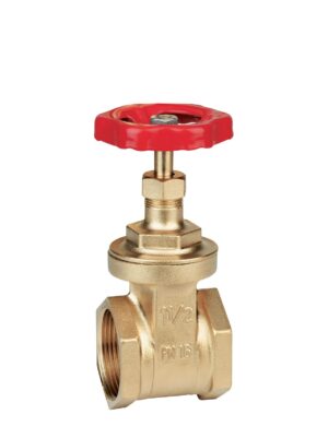 Brass gate valve