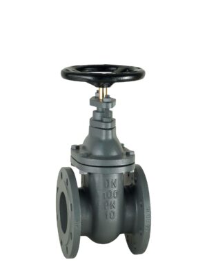 Cast-iron gate valves