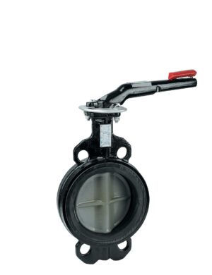 Butterfly valves